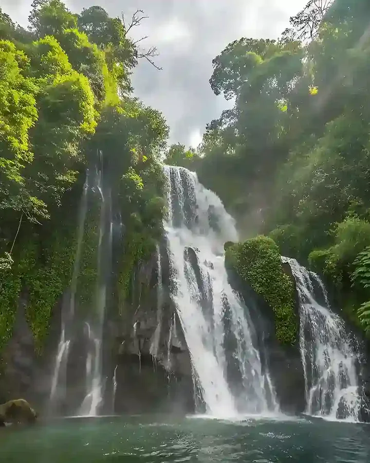 Banyumala waterfall falling through dense Balinese jungle