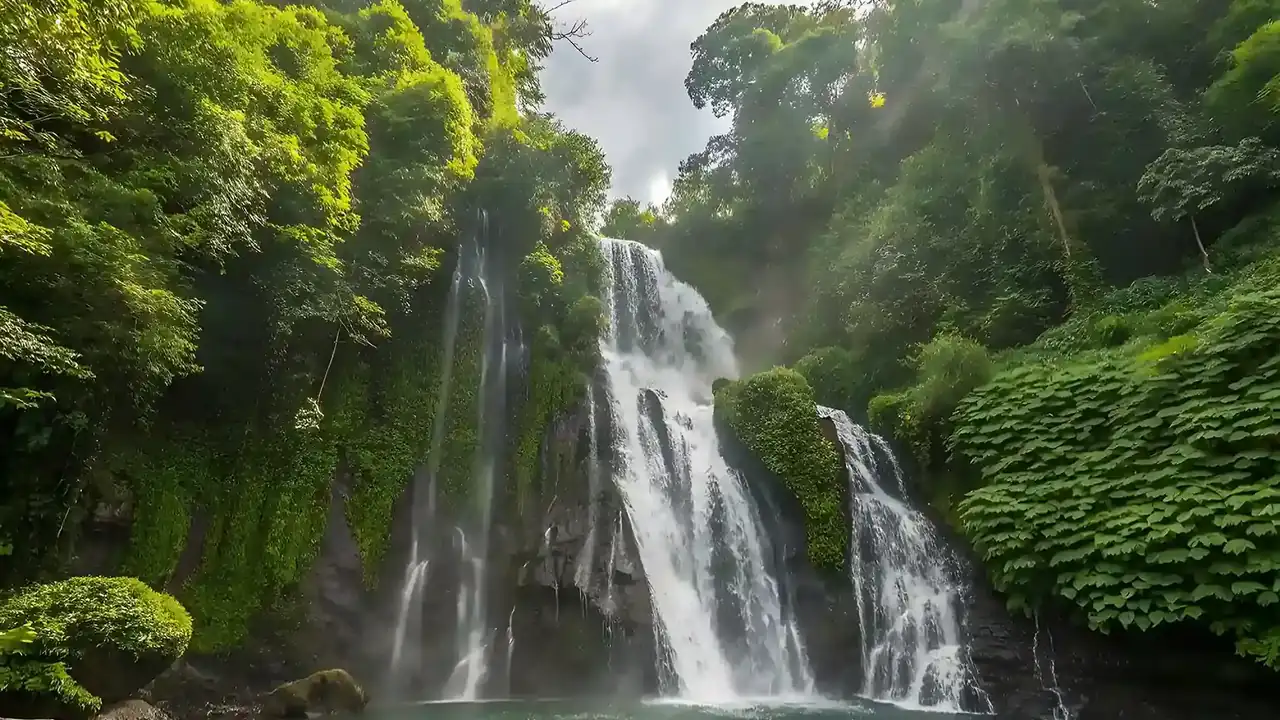 Bali Eco-Certified Plant Medicine Resorts