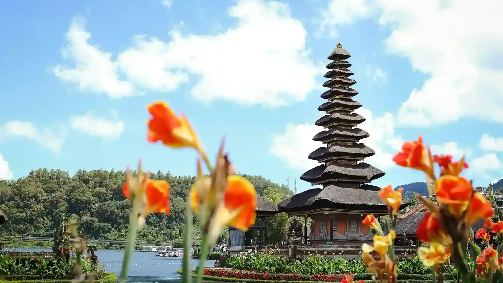 Bali Retreats for Depression Relief