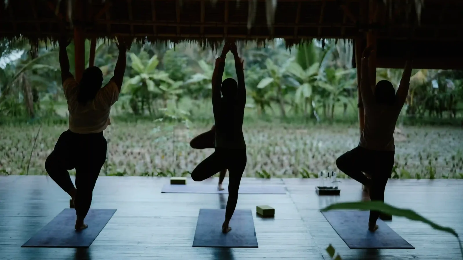 Bali Yoga and Meditation Retreats